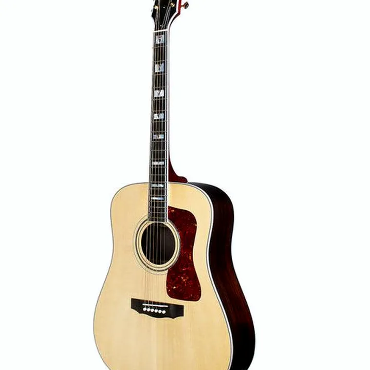 Avis et Test : Guild D-55E NAT USA