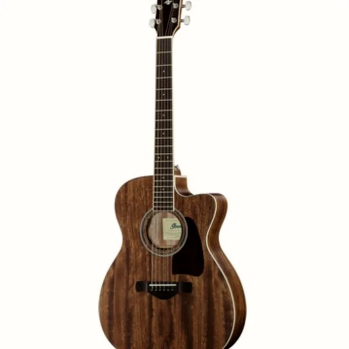 Guitare Acoustique Ibanez AC340CE-OPN Artwood