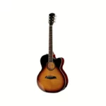 Avis et Test Guitare acoustique Larry Carlton A4-G VS