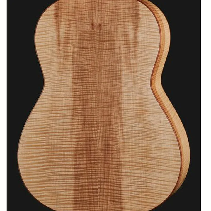 Avis et Test Guitare classique Höfner HGL10