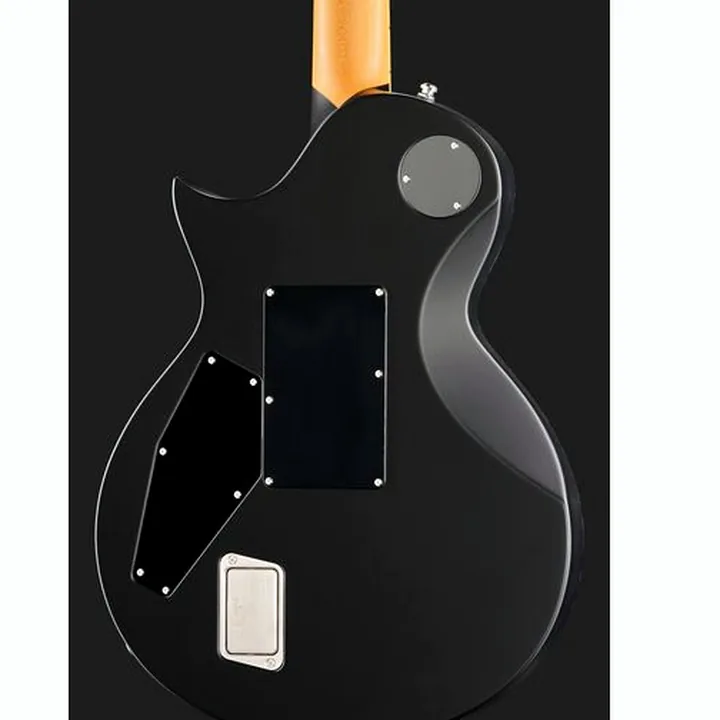 Avis et Test Guitare électrique ESP RZK-II Richard Z Kruspe Burnt