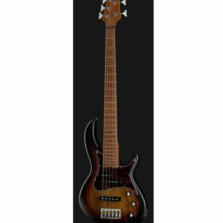 Avis et Test : Harley Benton JP-55OP Sunburst Bundle