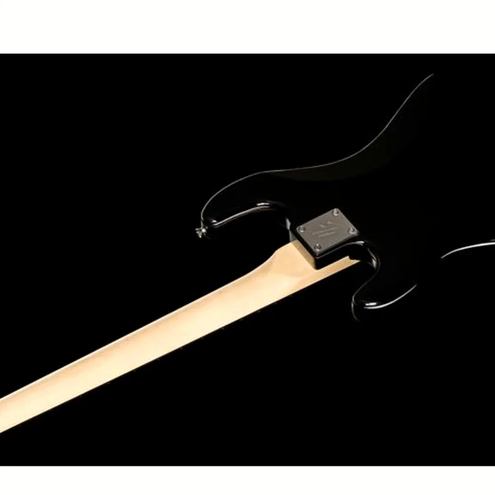 Avis et Test : Harley Benton PB-20 BK Standard Serie Bundle