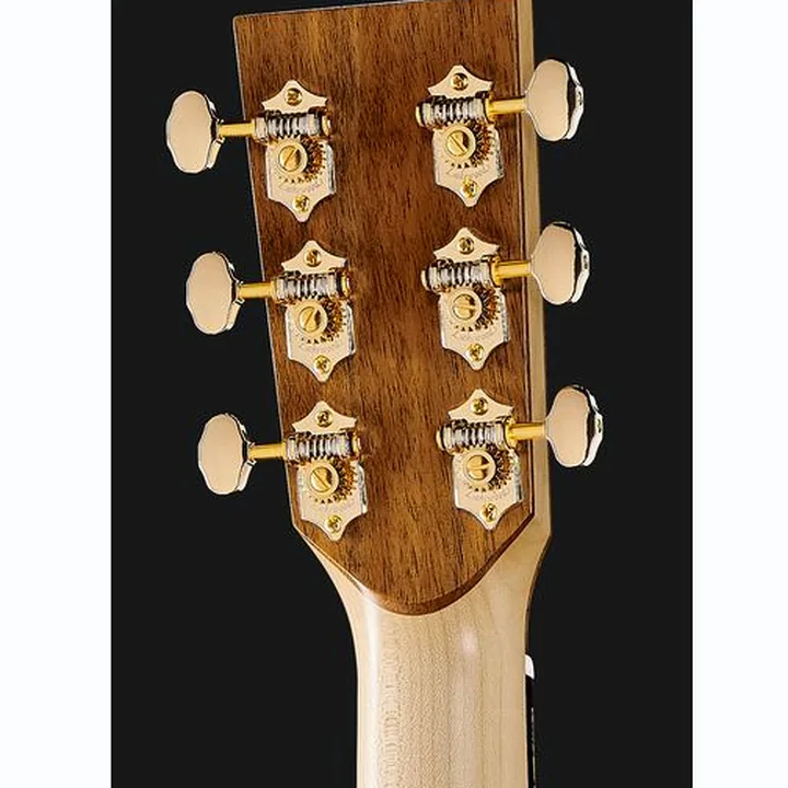 Avis et Test Lakewood J-Blackwood Custom