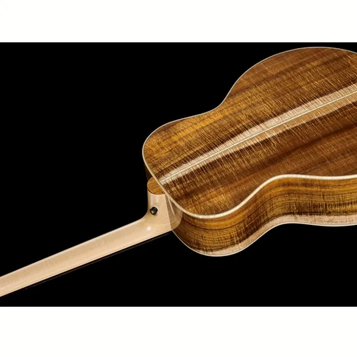 Avis et Test Lakewood J-Blackwood Custom