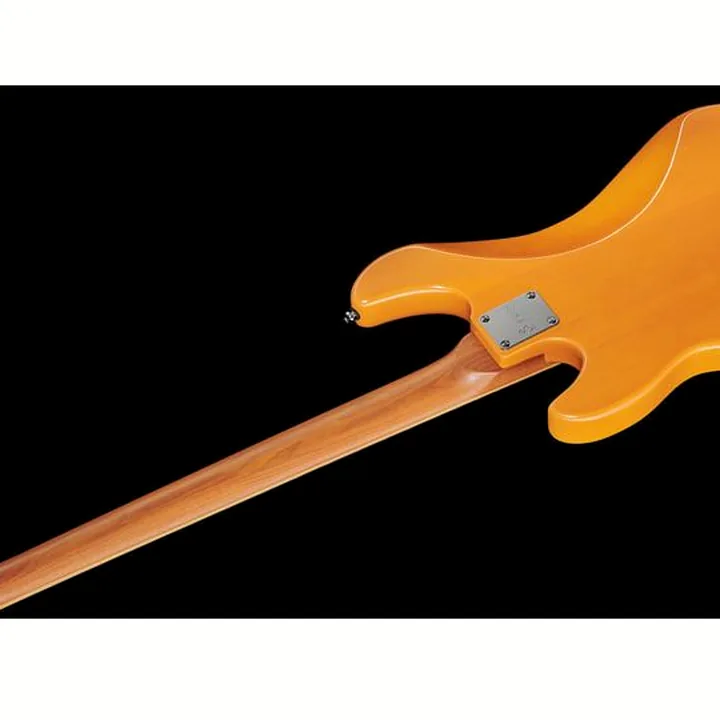 Avis et Test : Marcus Miller D5 Alder-4 BB