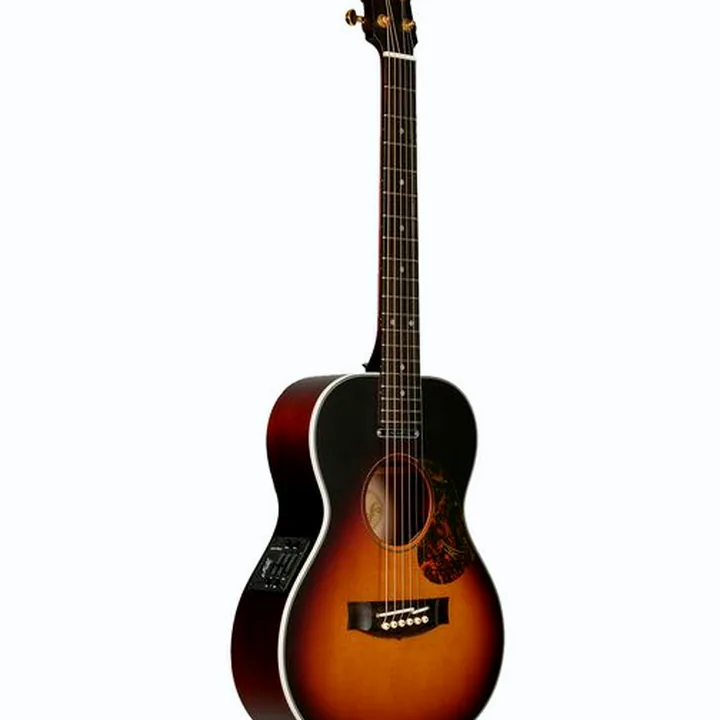 Avis et Test : Maton Troubadour Mini