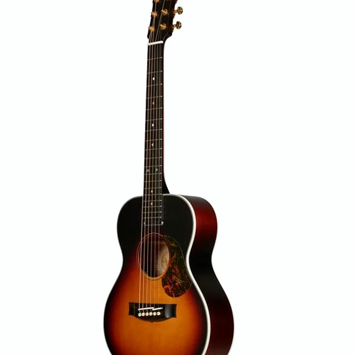 Avis et Test : Maton Troubadour Mini