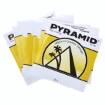 Avis et Test Pyramid 7String Classical Guitar Set