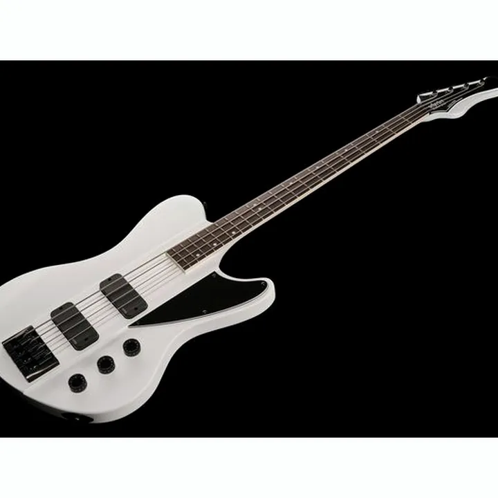 Avis et Test Schecter Ultra Bass SWHT