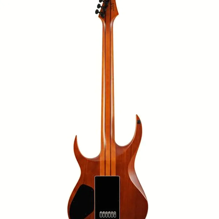 Avis et Test : Solar Guitars A1.6FBB Flame Black Baritone