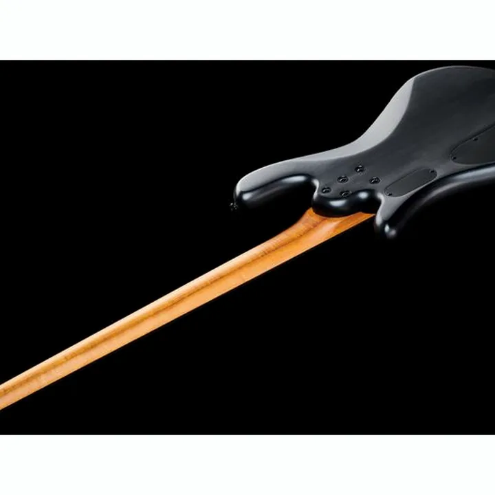 Avis et Test : Spector NS Pulse II 4 Black Stain