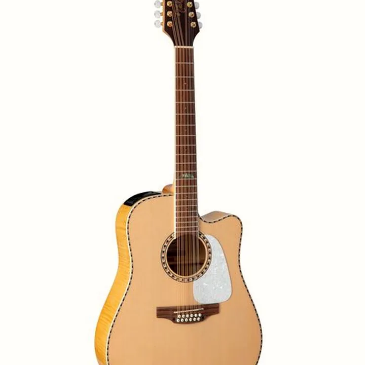 Avis et Test Takamine GD74CE-12U NAT