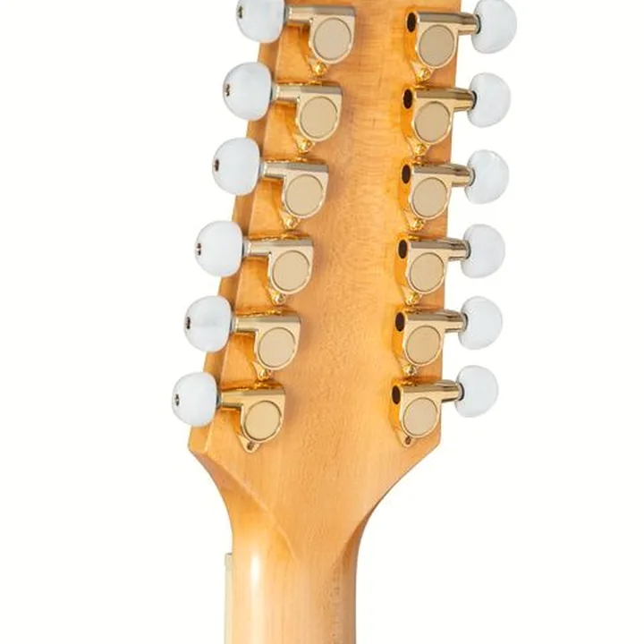 Avis et Test Takamine GD74CE-12U NAT