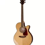 Avis et Test Takamine GN93CE-NAT
