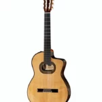 Avis et Test Takamine TH90 w/Softcase