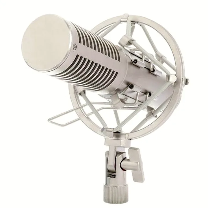Avis et Test : the t.bone RB 100