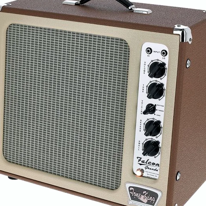 Avis et Test : Tone King Falcon Grande BR