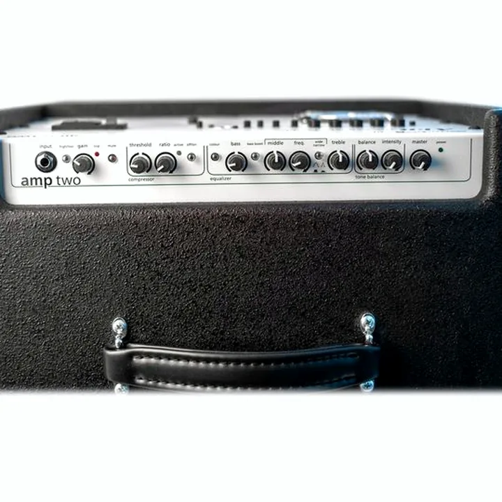 Avis & Test : AER Amp Two