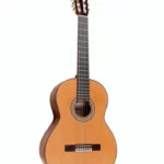 Avis, Test : Amalio Burguet Noguera Walnut Cedar