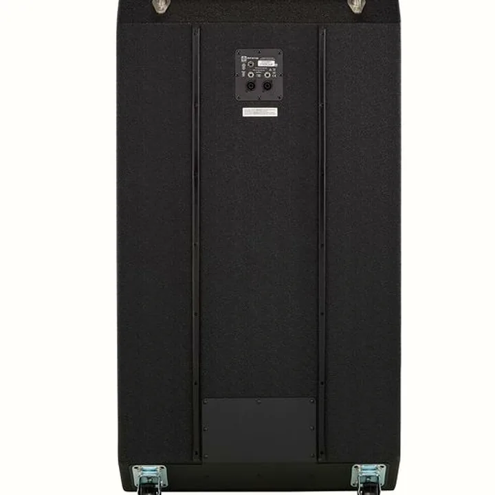Avis, Test : Ampeg SVT-810E