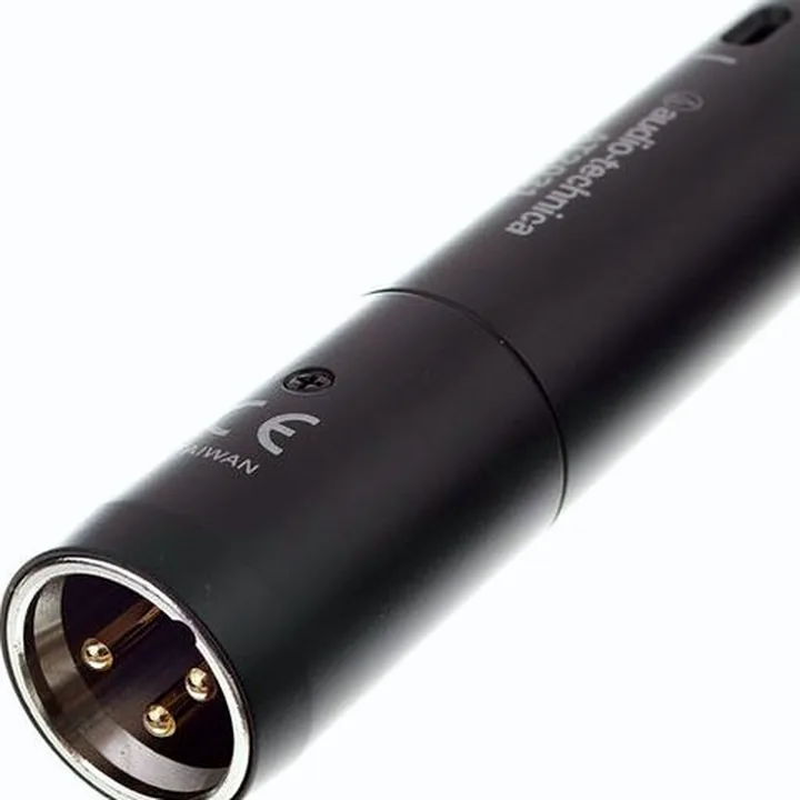 Avis & Test : Audio-Technica AT 2031