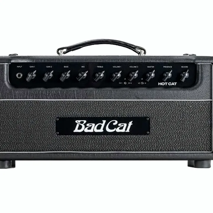 Avis, Test : Bad Cat Hot Cat Head