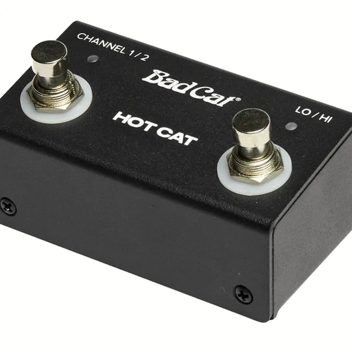 Avis, Test : Bad Cat Hot Cat Head