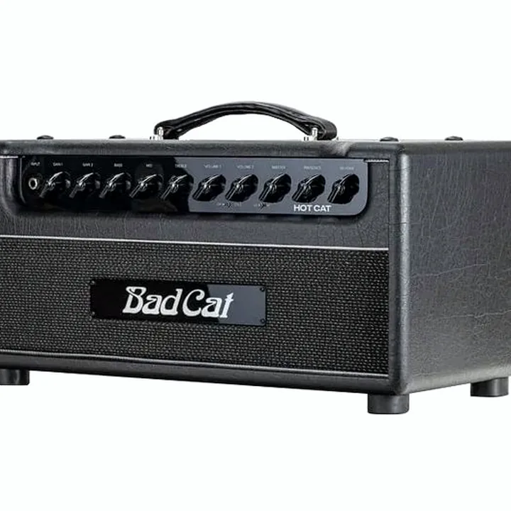 Avis, Test : Bad Cat Hot Cat Head