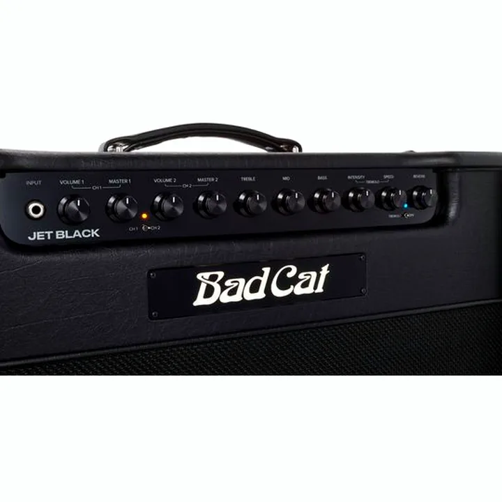 Avis, Test Bad Cat Jet Black 1×12 Combo