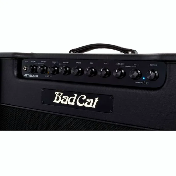 Avis, Test Bad Cat Jet Black 1×12 Combo