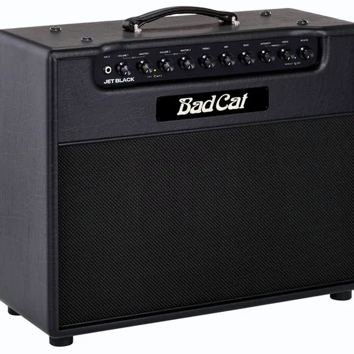 Avis, Test Bad Cat Jet Black 1×12 Combo