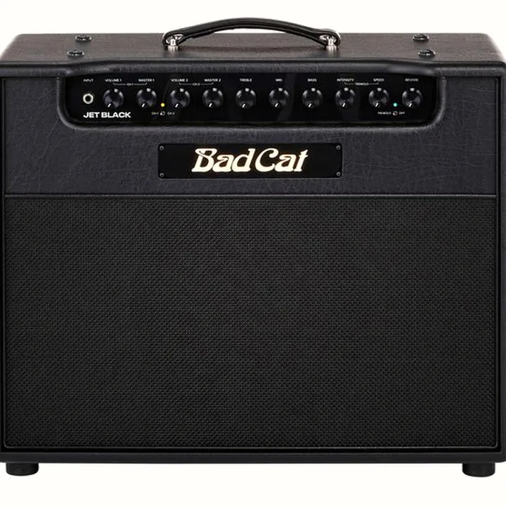 Avis, Test Bad Cat Jet Black 1×12 Combo