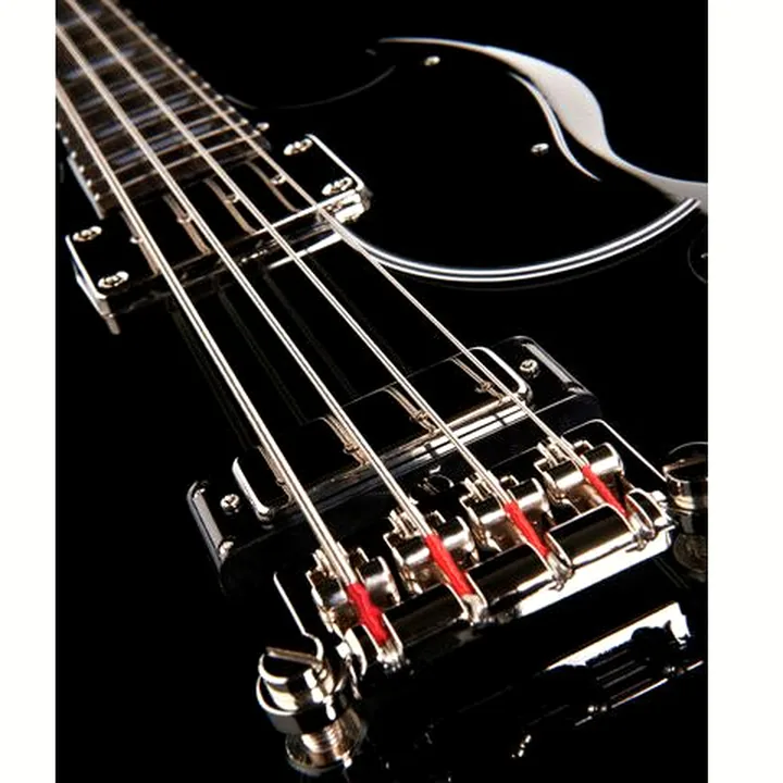 Avis, Test Basse électrique Epiphone EB-3 EB