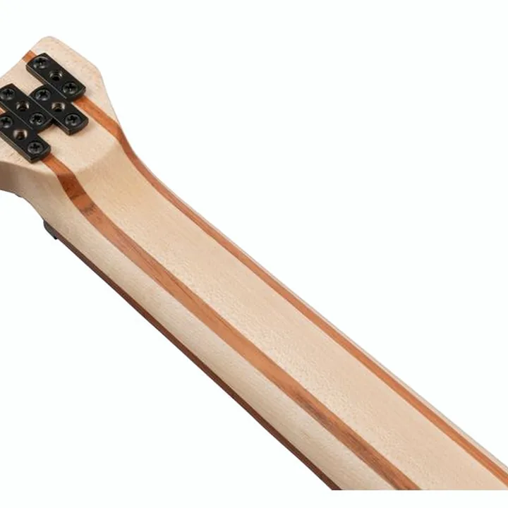 Avis, Test Basse Ibanez EHB600-PRM
