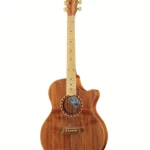 Avis, Test : Cole Clark AN2EC-BLBL-SB Satin Box Fretb.
