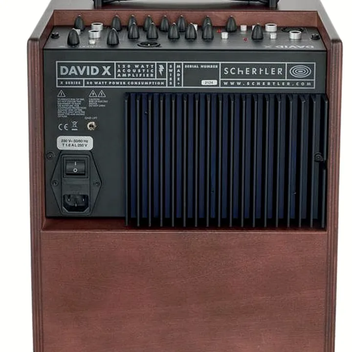 Avis, Test combo guitare Schertler David X Wood