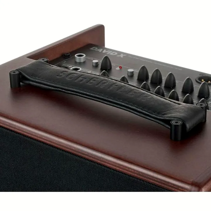 Avis, Test combo guitare Schertler David X Wood