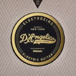 Avis & Test : DAngelico Electrozinc Rock Extra Light