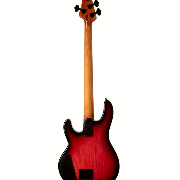 Avis, Test de la basse électrique Music Man Stingray 4 Sp HH Raspberry