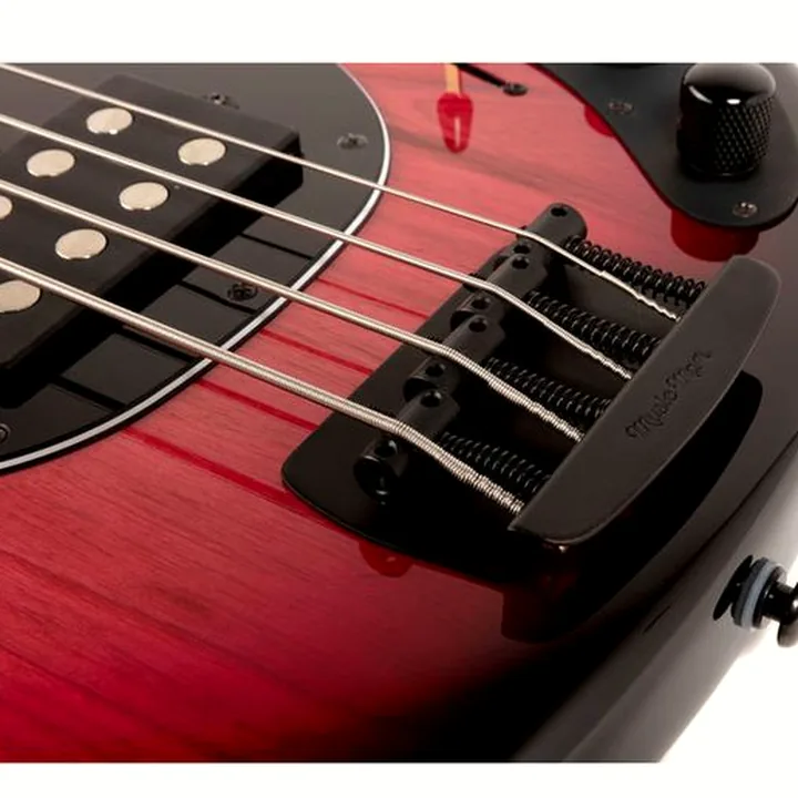 Avis, Test de la basse électrique Music Man Stingray 4 Sp HH Raspberry