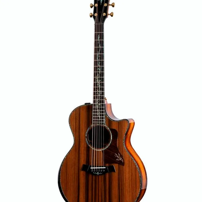 Guitare acoustique Taylor PS14ce Presentation 21