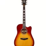Avis & Test de la guitare DAngelico Premier Bowery Iced Tea Burst