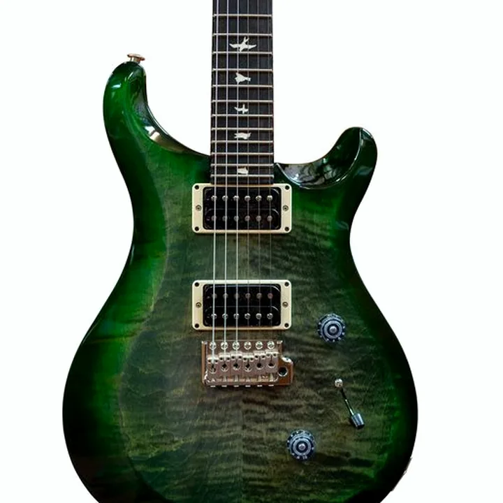 Guitare électrique PRS S2 Custom 24 Birds EV SB