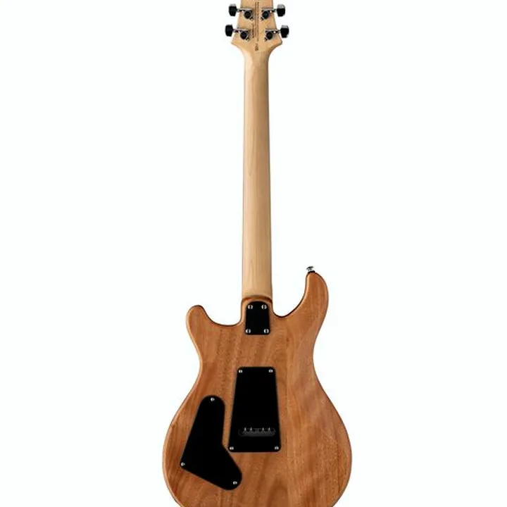 Avis & Test de la guitare électrique PRS SE CE 24 BR