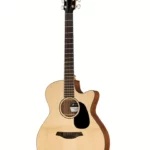 Avis & Test de la guitare Furch Violet Gc-ER SPE