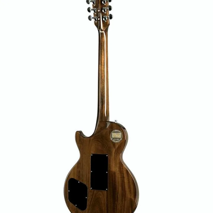 Avis, Test de la guitare Gibson LP Axcess Figured FR DC Rust