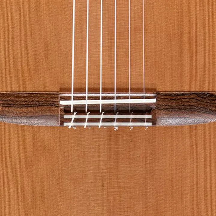 Avis, Test de la guitare Hanika Meisterklasse 1A DTL