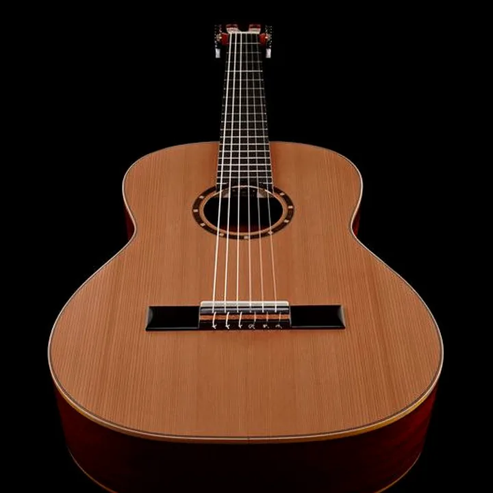 Avis & Test de la guitare Ortega R122-7/8