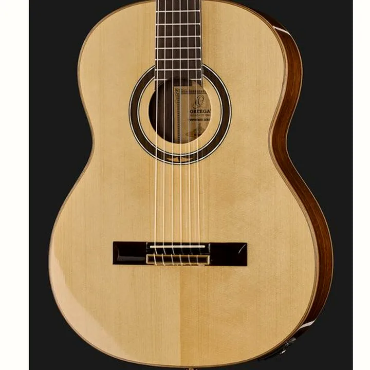 Avis, Test de la guitare Ortega RE158RWSN